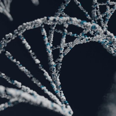 Burke The Role of Genetics in Facial Appearance Plastic Surgery Blog